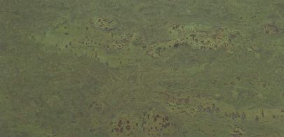 Decoratieve kurk wandbekleding  Exclusive Green 3mm